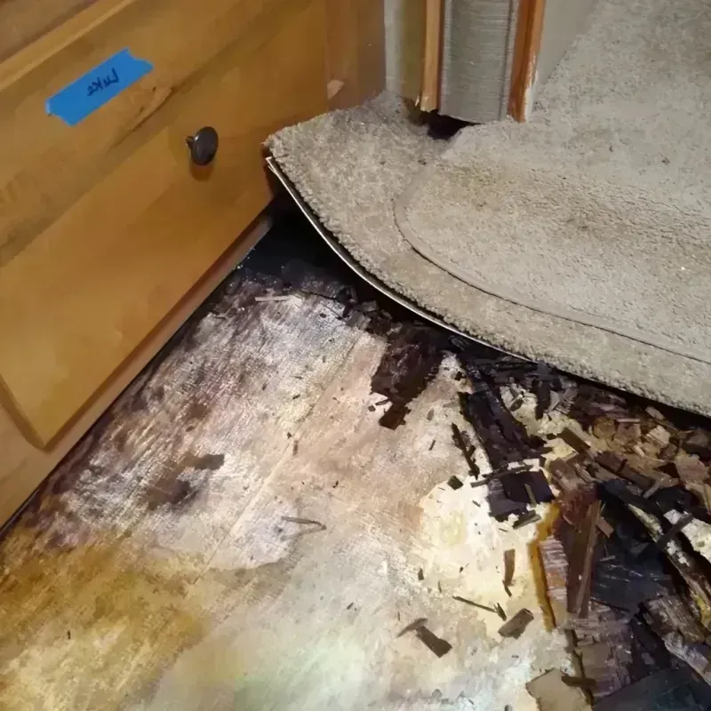 Wood Floor Water Damage in North Slope Borough, AK